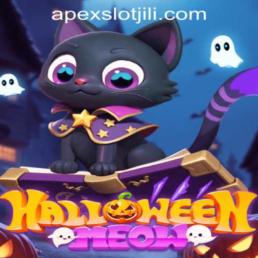 Unveiling HalloweenMeow: A Spooky Adventure With APEXSLOT