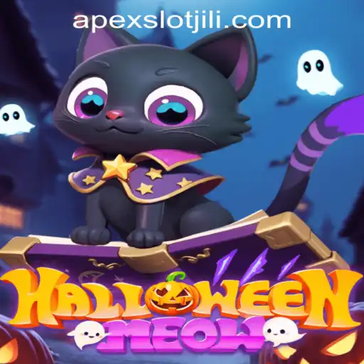 Unveiling HalloweenMeow: A Spooky Adventure With APEXSLOT